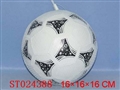 ST024388 - 