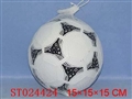 ST024424 - 