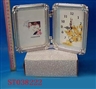 ST038222 - 