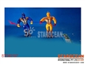 ST040197 - TRANSFERBLE