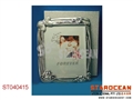 ST040415 - 10 PHOTOGRAPH FRAME