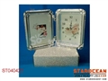 ST040422 - 5 PHOTOGRAPH FRAME
