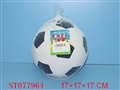 ST077964 - 6FOOTBALL
