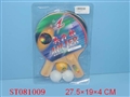 ST081009 - TABLE TENNIS