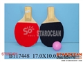 ST087401 - PINGPONG