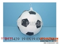 ST094740 - FOOTBALL