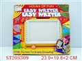 ST205309 - MAGNETISM BOARD