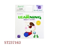 ST237163 - LEARNING