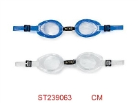 ST239063 - (Intex)entry level goggles