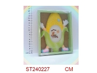 ST240227 - FRAME
