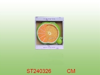 ST240326 - FRAME