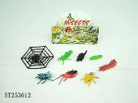 ST253612 - INSECT