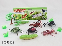ST253622 - INSECT
