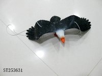 ST253631 - HAWK