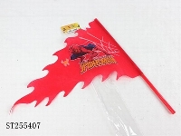 ST255407 - FLAG