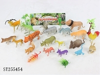 ST255454 - ANIMAL