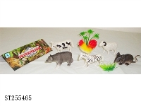 ST255465 - ANIMAL