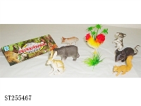 ST255467 - ANIMAL