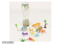 ST255562 - ANIMAL
