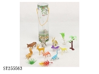 ST255563 - ANIMAL