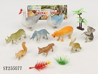 ST255577 - ANIMAL