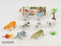 ST255578 - ANIMAL