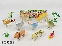 ST255583 - ANIMAL