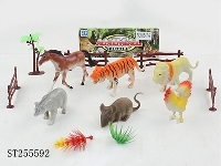 ST255592 - ANIMAL