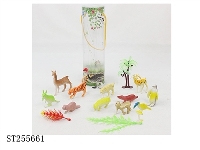 ST255661 - ANIMAL