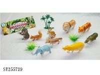 ST255729 - ANIMAL
