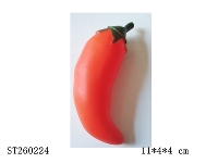 ST260224 - 