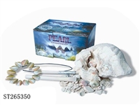 ST265350 - Pearl shell