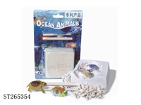 ST265354 - Fish and turtles