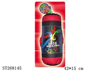 ST268145 - 2008图案帆布中沙包