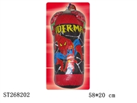 ST268202 - BOXING SET