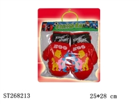 ST268213 - BOXING SET