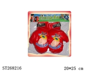 ST268216 - BOXING SET