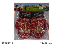 ST268219 - BOXING SET