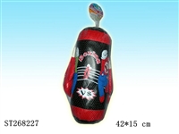 ST268227 - BOXING SET