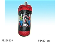 ST268228 - BOXING SET