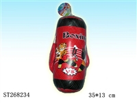 ST268234 - BOXING SET