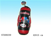 ST268239 - BOXING SET