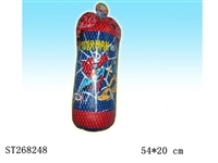 ST268248 - BOXING SET