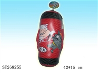 ST268255 - BOXING SET