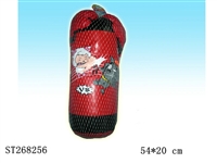 ST268256 - BOXING SET