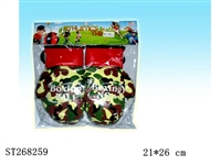 ST268259 - BOXING SET
