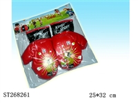 ST268261 - BOXING SET