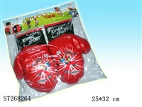 ST268264 - BOXING SET