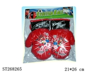 ST268265 - BOXING SET