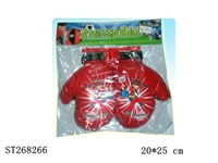 ST268266 - BOXING SET